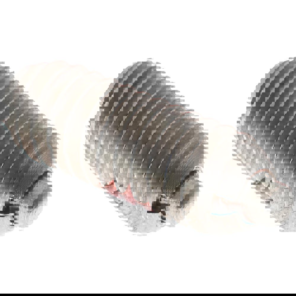 Threaded Spring Plunger: #8-32, 0.437